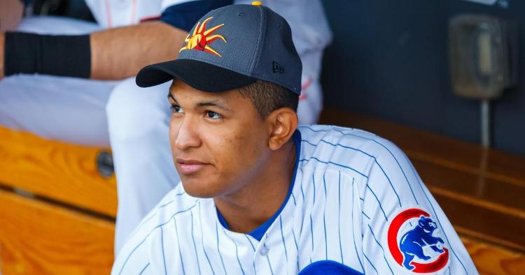Alzolay could be a nice pitching addition in 2020 (Mark Rebilas- USA Today Sports