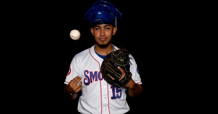 Jhonny Pereda is a solid prospect for the Cubs (Photo credit: Tennessee Smokies)