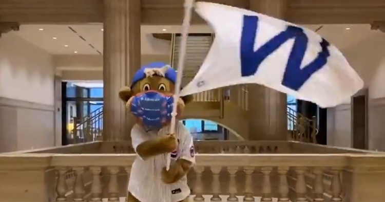 Clark the Cub is ready for the postseason