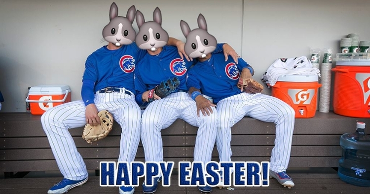 Photo credit: Cubs