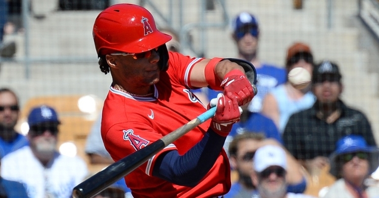 Hermosillo could be the Cubs' 4th or 5th outfielder in 2021 (Joe Camporeale - USA Today Sports)