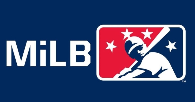 2020 Minor League Baseball season canceled