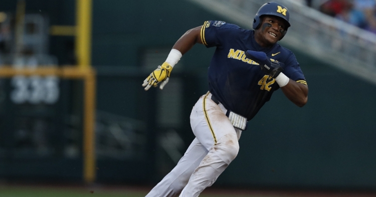 Nwogu is a talented prospect for the Cubs (Bruce Thorson - USA Today Sports)