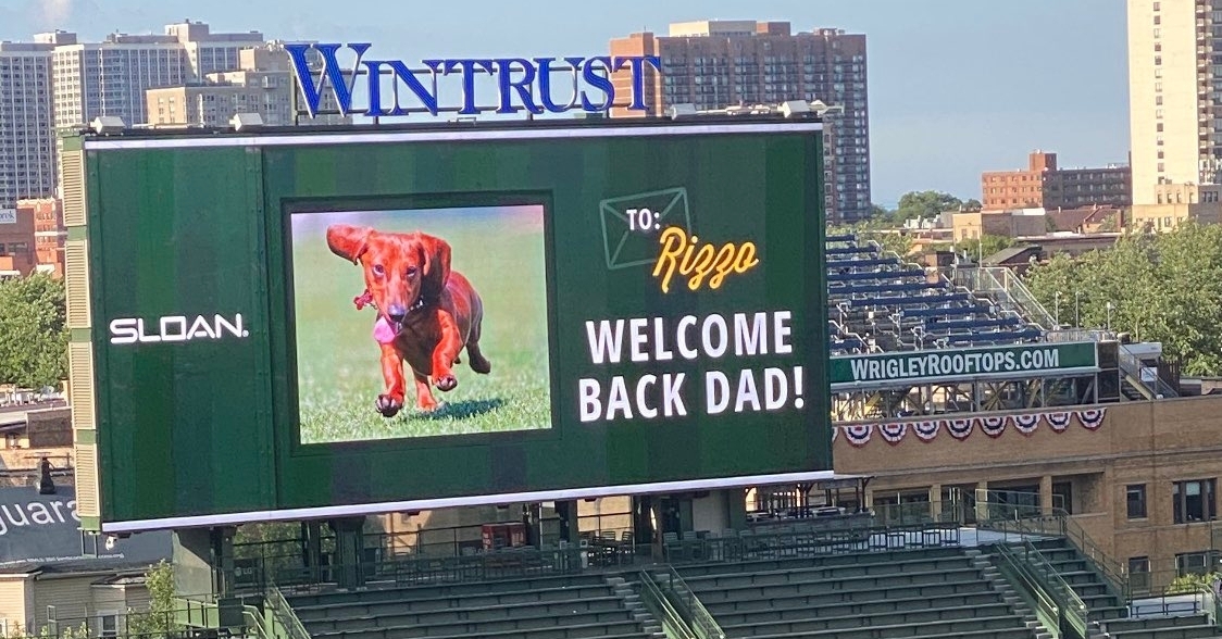 LOOK: Anthony Rizzo gets shoutout from his dog on videoboard