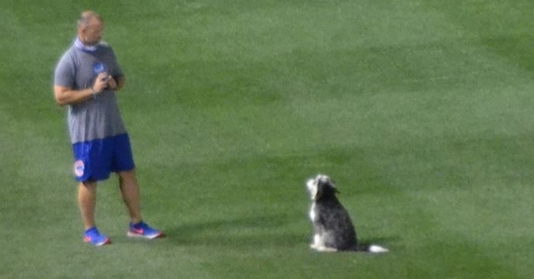 David Ross and Maya spending some quality time together