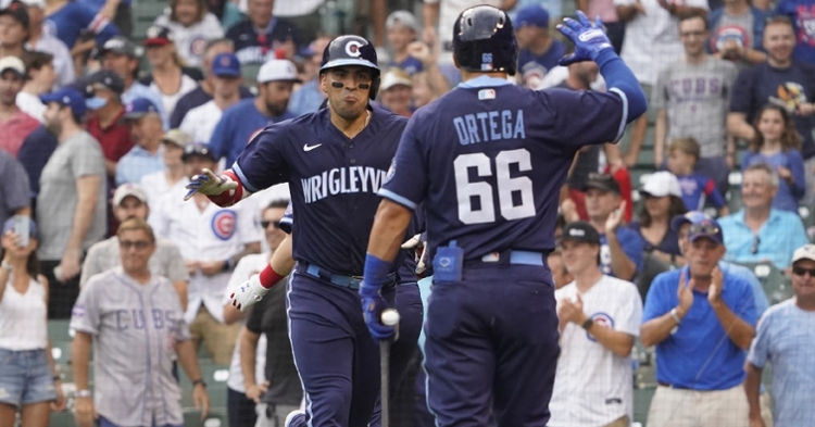 Chirinos had two homers in the win (David Banks - USA Today Sports)