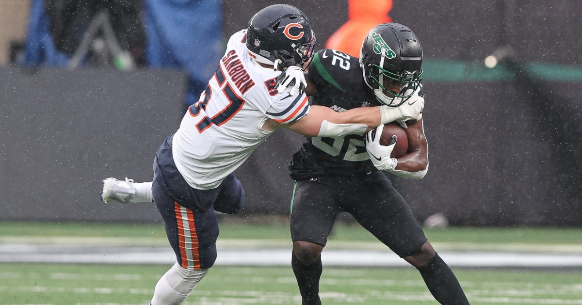 Bears rookie LB Noah Sewell making strong impression