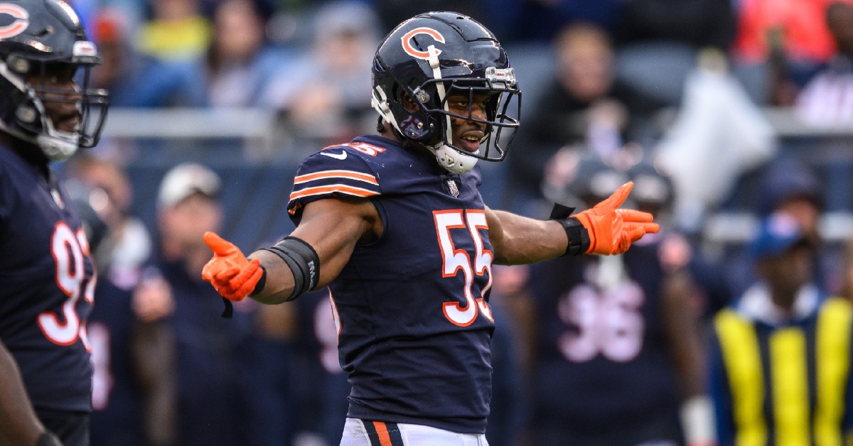 Dominique Robinson - Chicago Bears Defensive End - ESPN