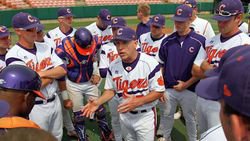 Haselden Pitches Tigers to 9-2 Win Over Paladins