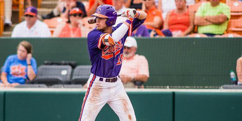 Image result for clemson baseball