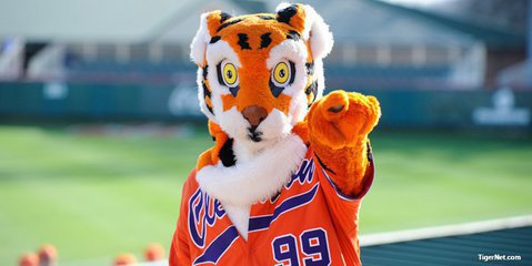 What's new for fans at Doug Kingsmore Stadium in 2018