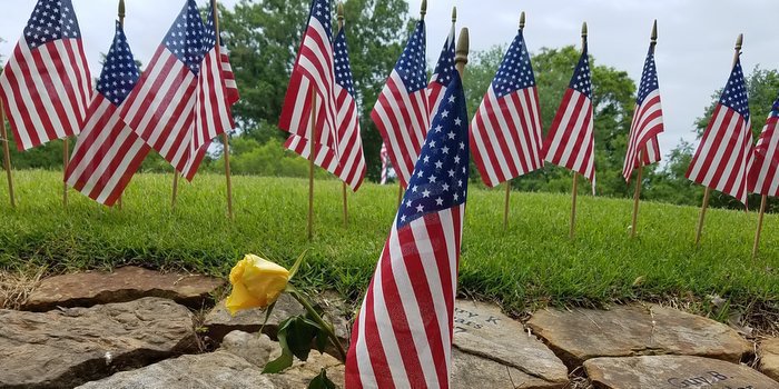 A yellow rose sits among the flags