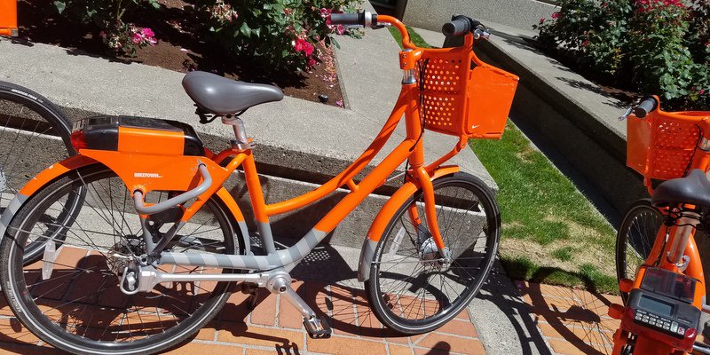 Orange bikes dot the Nike campus 