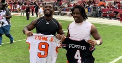 Former Clemson RB released by Cardinals
