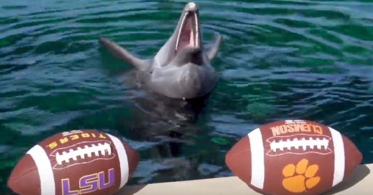 Nicholas picked Clemson to win on Monday night.