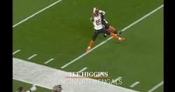 WATCH: Top plays for NFL Tigers this week