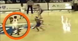 WATCH: Tee Higgins with a few epic dunks in high school